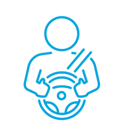 Driver Performance Monitoring